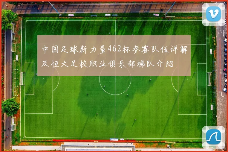 中国足球新力量462杯参赛队伍详解及恒大足校职业俱乐部梯队介绍