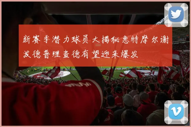 新赛季潜力球员大揭秘惠特摩尔谢泼德普理查德有望迎来爆发