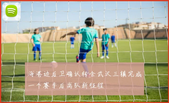 海港边后卫确认转会武汉三镇完成一个赛季后离队新征程