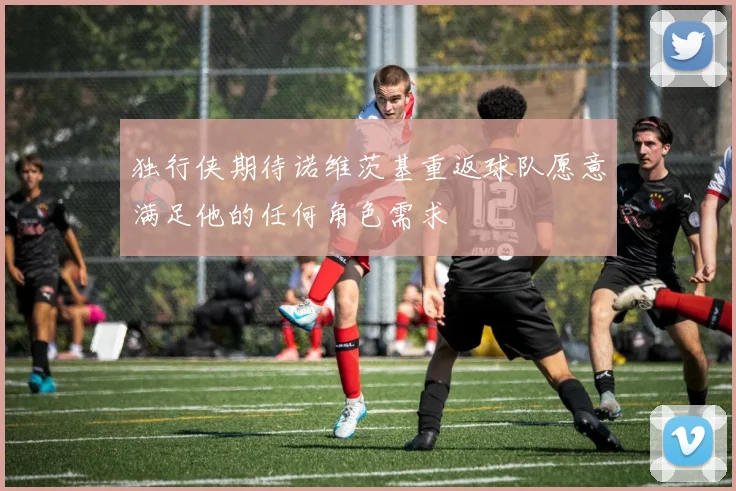 独行侠期待诺维茨基重返球队愿意满足他的任何角色需求