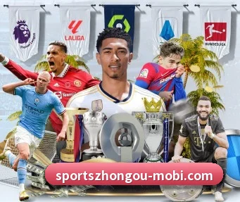 中欧体育 APP(ZOSPORTS)